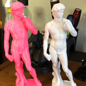 Michelangelo&#39;s Statue of David
