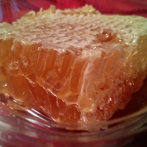 May include: A close-up of a piece of honeycomb in a clear plastic container. The honeycomb is a golden yellow color, with visible cells filled with honey. The container sits on a red surface.