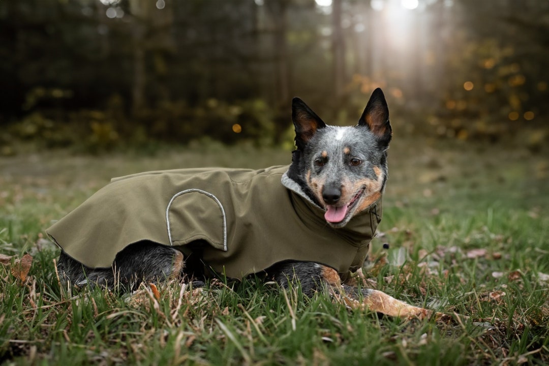 The Caper Dog Coat by Furvent Luxury and Sustainable Dog Etsy