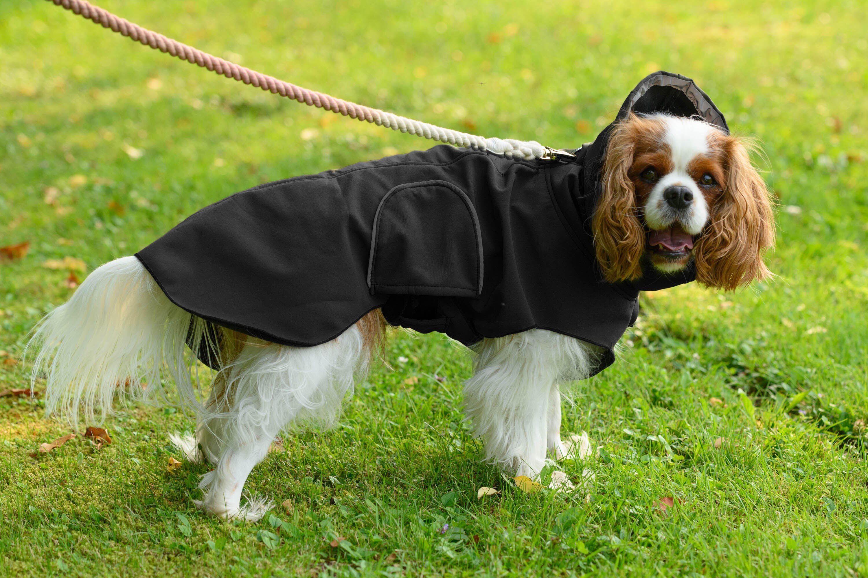The Caper Dog Coat by Furvent Luxury and Sustainable Dog Etsy