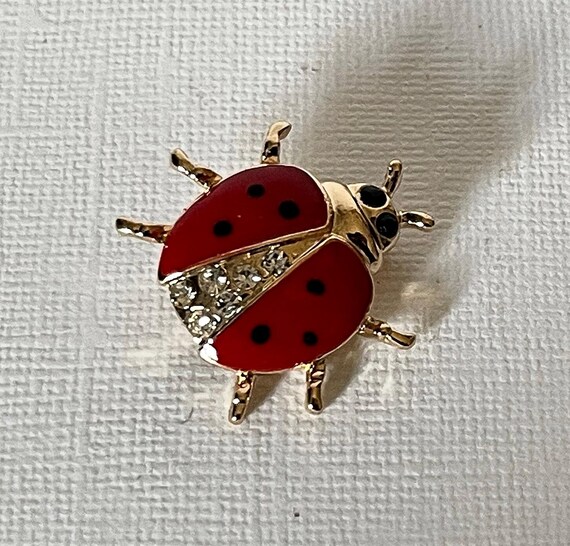 Lady bug brooch, rhinestone lady bug brooch, lady bug jewelry, beetle brooch, rhinestone beetle pin, insect jewelry, red lady bug brooch View 2