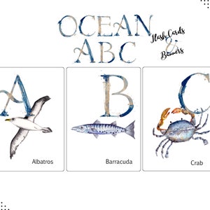 Tarjetas didácticas de ABC del océano de acuarela, estandarte del alfabeto, estudio de la unidad oceánica de Charlotte Mason, escuela preescolar en el hogar imprimible, aula temática del océano
