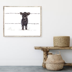 Nosy Neighbour- downloadable art, calf wall art, farmhouse art, farmhouse decor, belted galloway calf, country wall art, cute art gift,