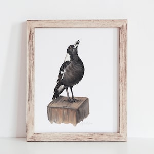 Magpie art, instant digital download, printable art, Australian bird art, Aussie birds, Cheeky Magpie art,