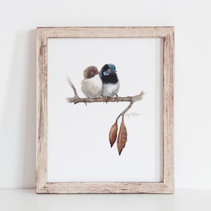 Fairy Wren art, instant digital download, Printable art, Helen Boughen artist, Fig Hill Farm, Australian bird art, Aussie birds