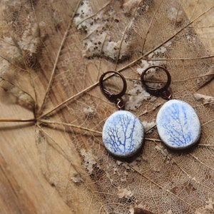 Seaweed Grove / Ceramic Earrings with Algae Imprints image 1