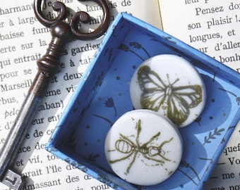 Insecta / Porcelain Brooches