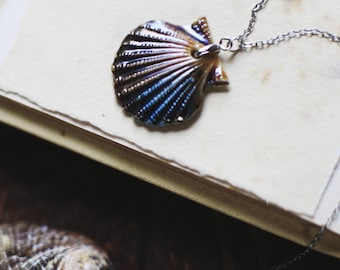 Pecten Metallicus / Porcelain Scallop Necklace