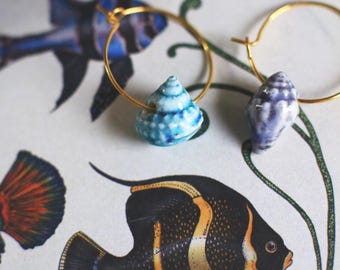 Créoles coquillages / Boucles d'oreilles en porcelaine