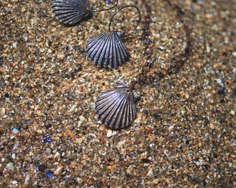 Bronze Scallops