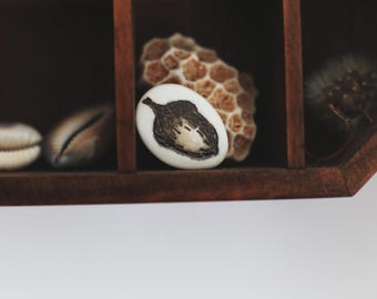 Forest Treasures / Porcelain Brooches