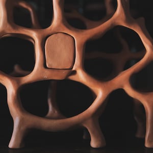 Air Chambers / Red Shelf III / Ceramic Curiosity Cabinet image 7