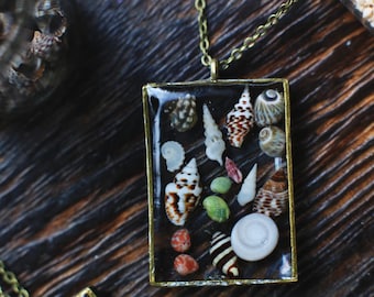 Collection Beach combing / Suspension Mini coquillages