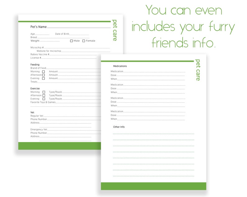 May include: A printable pet care log with sections for pet's name, feeding, exercise, vet information, medications, and other info. The log has a green border and the text "pet care" is written vertically on the right side of the page.