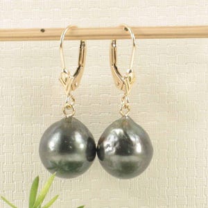 14k Gelbgold schwarze Tahiti Perle Brisur Ohrringe (11.2mm)