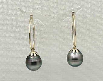 Tahitian Pearl Hoop Earrings in 14kt Solid Yellow Gold