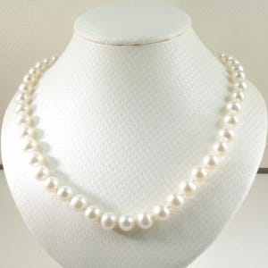White Freshwater Pearl Hand-Knotted Necklace with 925 Silver Clasp