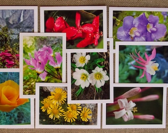 Set #4: 9 Wildflower Note Cards, Blank and Handmade Boxed with Envelopes - Nature Inspired Greeting Cards