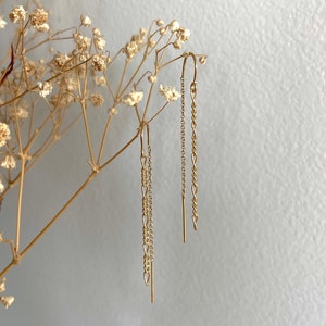 May include: A pair of gold chain earrings with a delicate design. The earrings are hanging from a branch of dried flowers.