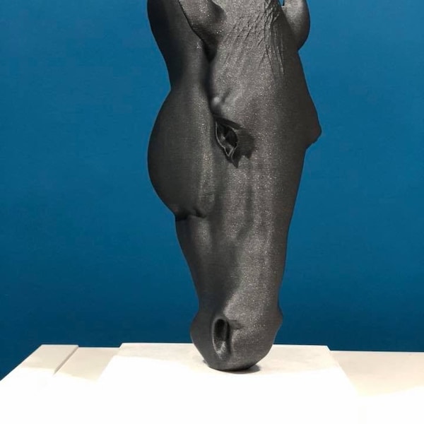 Statue Still Water Nic Fiddian-Green tête de cheval Londres décoration de la maison imprimée en 3D