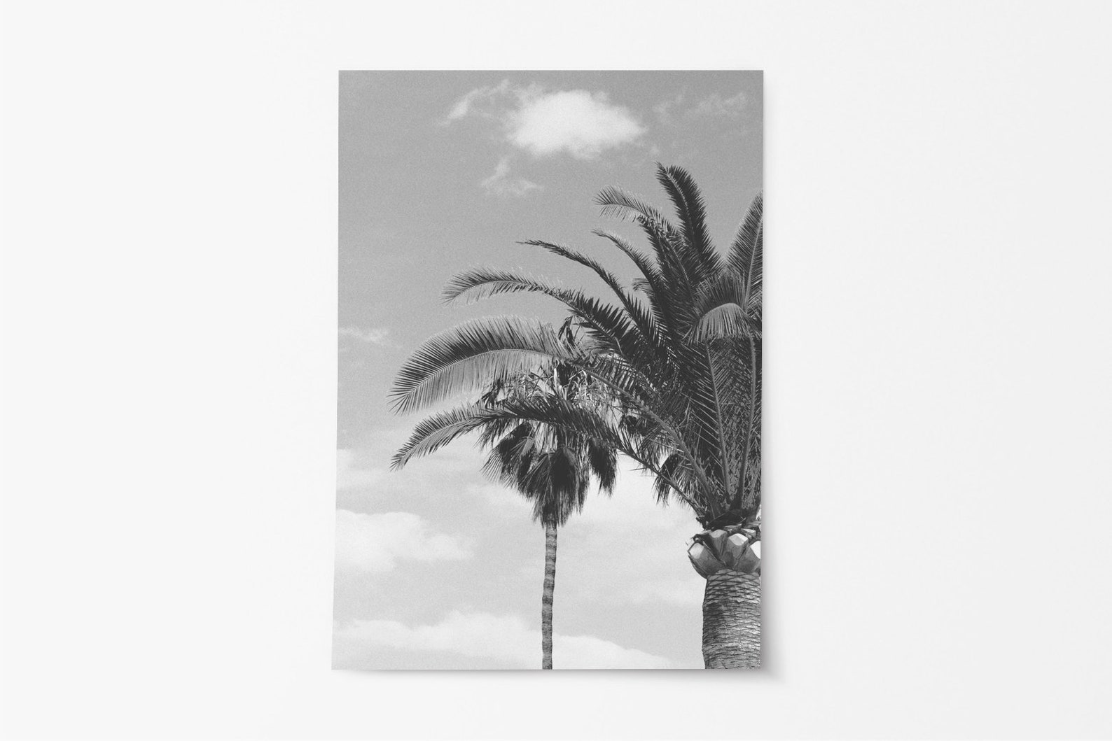 Palm Trees Print Black and White Modern Minimalist Wall Art Palm Tree ...