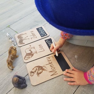 Tarjetas didácticas de animales del zoológico