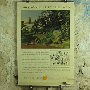 Pode incluir: Cartaz publicitário vintage da Shell Oil intitulado "Shell guide to LIFE BY THE ROAD". O cartaz apresenta uma cena pastoral com pássaros, ouriços e um marcador de pedra. O texto inclui "You can be sure of Shell" e "The key to the Countryside."