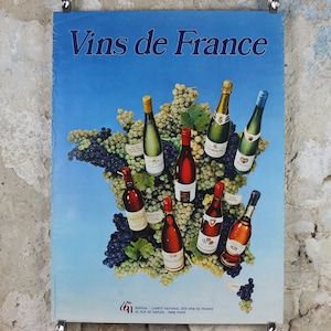 1974 Wines of France Poster, Types of French wines, Vins de France, advertising and marketing, Viticulture print wall art decor