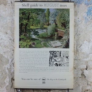 Pode incluir: Cartaz vintage "Shell guide to AUGUST trees" com uma ilustração cénica de um lago, ponte e vegetação exuberante. O cartaz inclui texto e ilustrações, com o logótipo Shell na parte inferior. É exibido numa parede texturizada e envelhecida.
