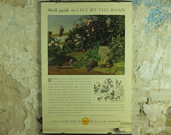 Vintage Shell Guide to Life on the Road Poster, botanical and zoological, educational wall art by John Leigh Pemberton 1950s