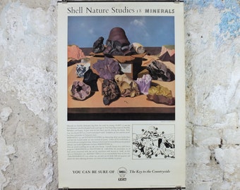 Vintage Shell Geology Poster, Minerals, rocks and stones, Shell Nature Studies educational wall art decor by Tristram Hillier 1950s