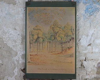 1973 The Forest of Lothlorien in Spring Poster, by J.R.R. Tolkien, George Allen & Unwin, Lord of the Rings, Hobbit, fantasy wall art decor