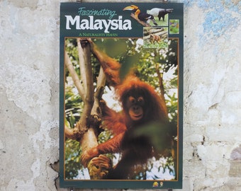 1990 Malaysia Travel Poster, An orang utan from Zoo Negara, A Naturalists Haven, travel tourism, advertising print, wall art retro decor