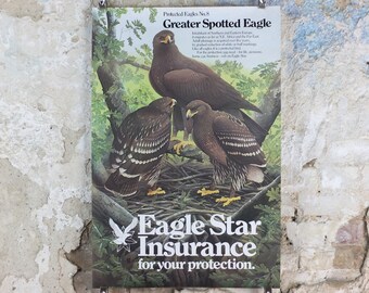 1980 Greater Spotted Eagle Poster, Eagle Star Insurance, by Trevor Boyer, protected Eagles #8, fauna, zoology, wall art decor