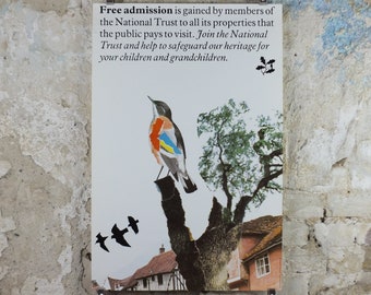 1970s Original National Trust Poster, Free Admission, Bird, by Michael Carney, heritage conservation, wall art retro decor