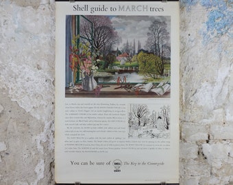 Vintage Shell Guide to March Trees Poster, botanical school education wall art by S.R. Badmin 1950s