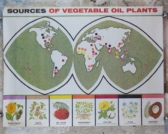 1960s Vegetable Oil Poster, Sources of Vegetable Oil Plants, Sunflower, Cotton, Flax, Soya, Coconut, Advertising, wall art retro decor