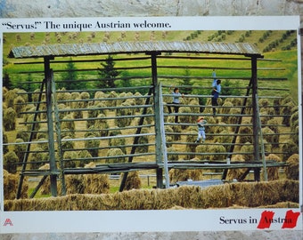 1990s Austrian Agriculture Poster, Traditional Hay Drying, Farming, published by Austrian Federal Government, travel tourism, wall art decor