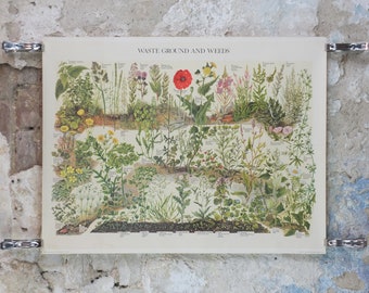 1973 British Museum Poster, Waste Ground and Weeds by Barbara Nicholson BEM, roadside, Natural History Museum, wall art decor