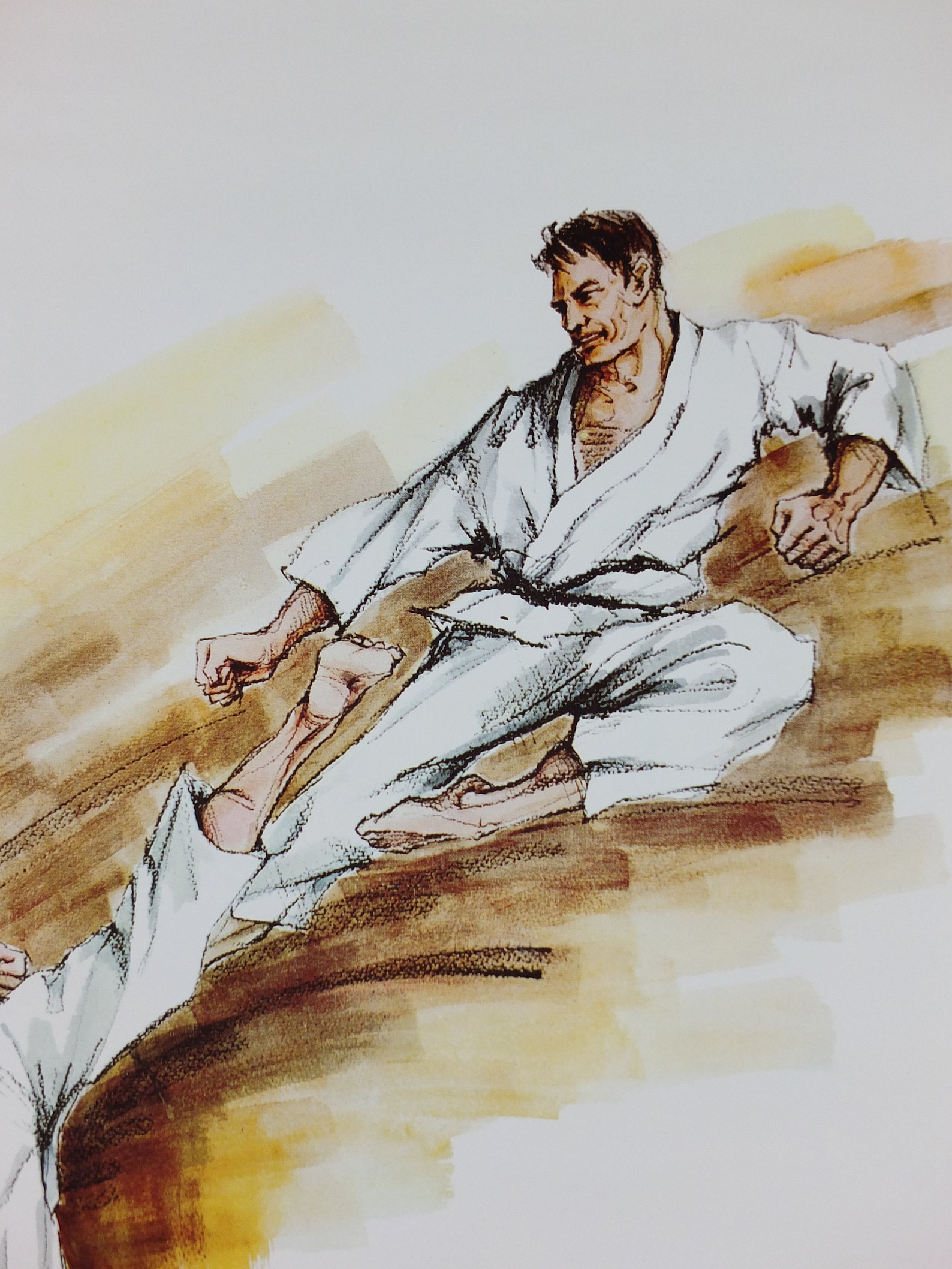 Vintage Karate Poster Martial Arts Showing a Flying Kick From Etsy