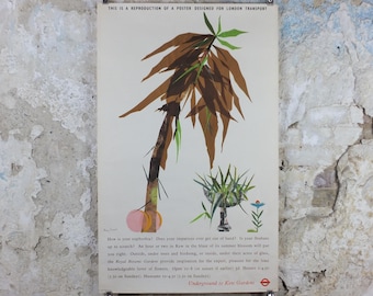 1964 Kew Gardens Poster, London Underground, Royal Botanic Gardens, euphorbia plant, by Mary Kessell, The Tube, travel wall art decor