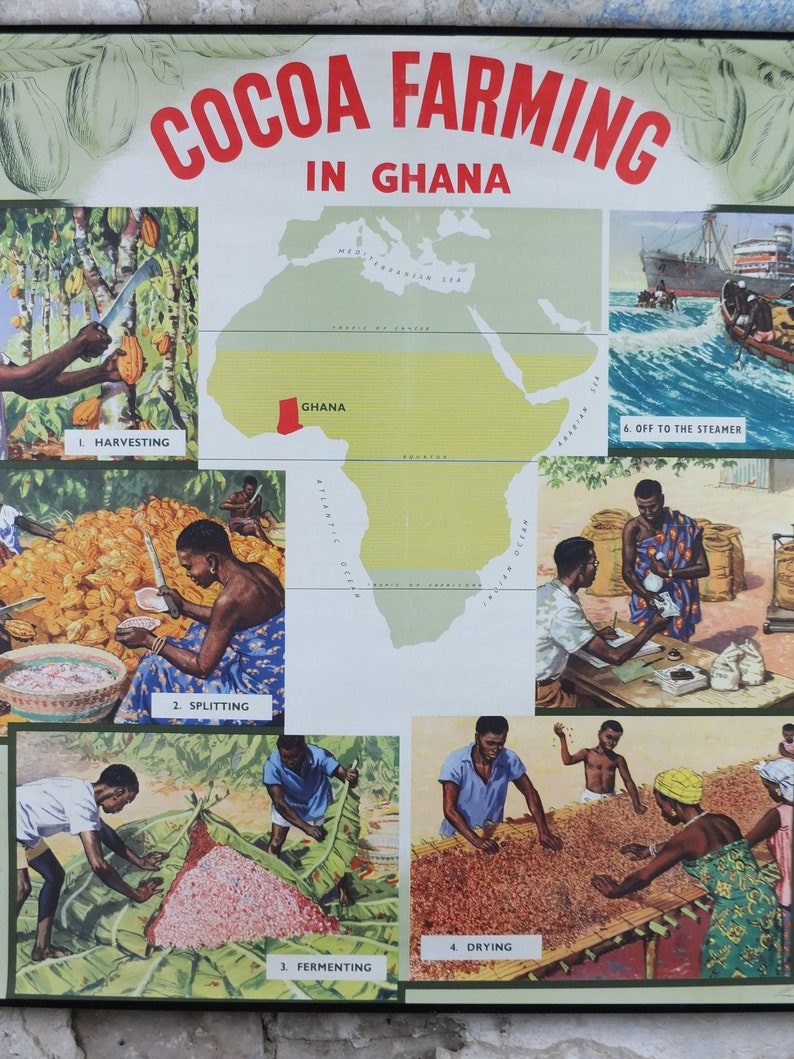 Original 1960s Cocoa Farming in Ghana Poster Cadbury Etsy UK