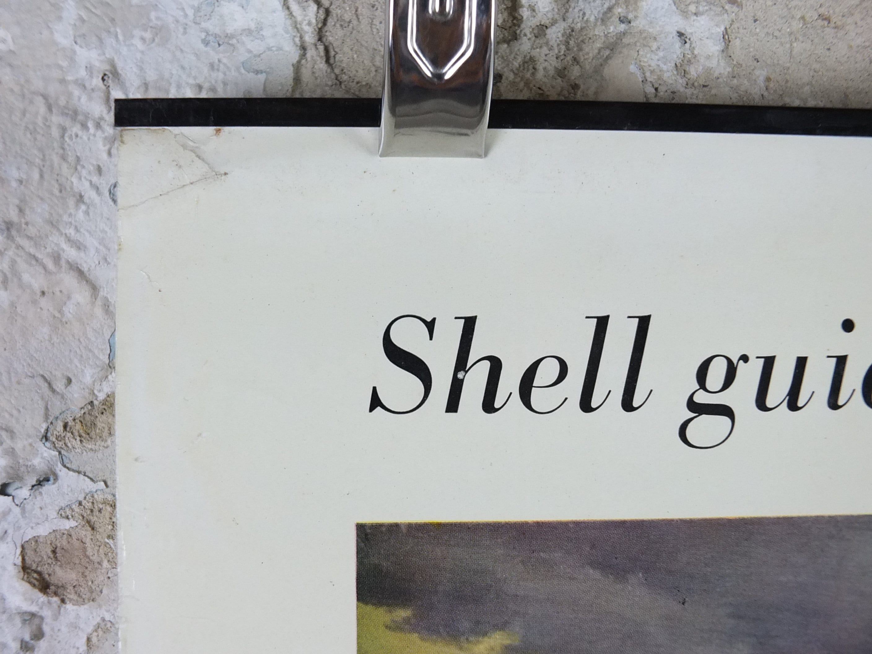 Vintage Shell Guide To Life On The Tide Line Poster Seaside Etsy