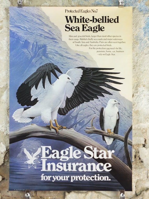 1980 White Bellied Sea Eagle Poster, Eagle Star Insurance, by