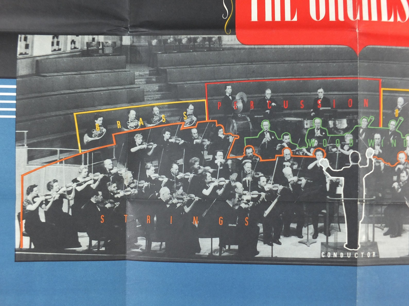 Vintage Instruments of the Orchestra Poster Strings | Etsy