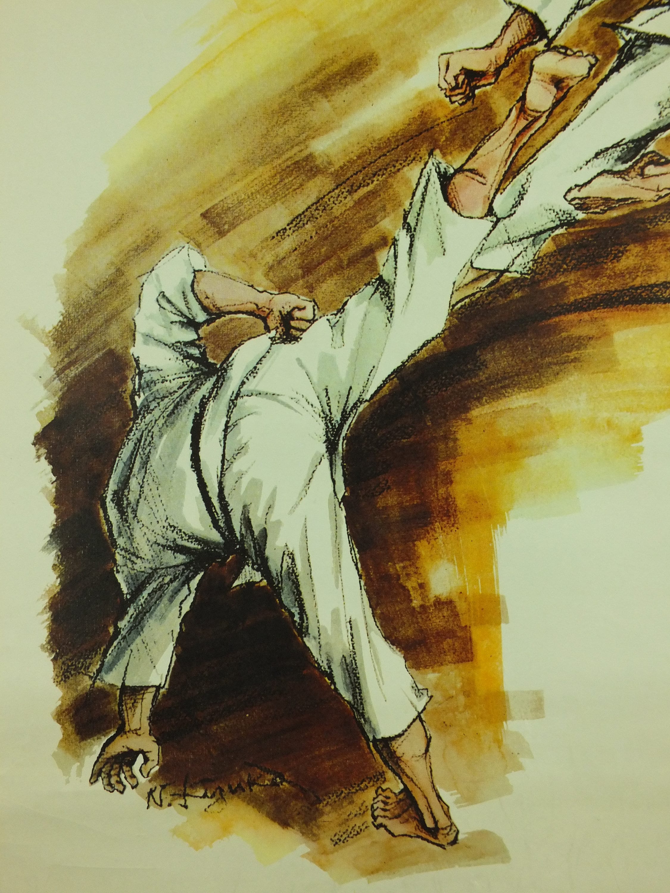 Vintage Karate Poster Martial Arts showing a flying kick from Etsy