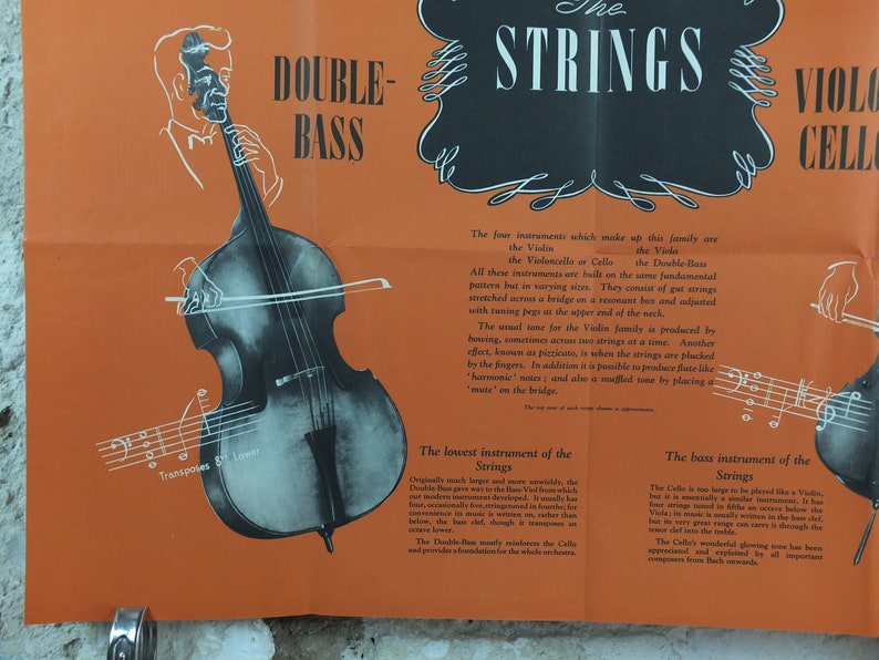 Vintage Strings Instruments Music Poster, the Strings, Violin, Viola ...