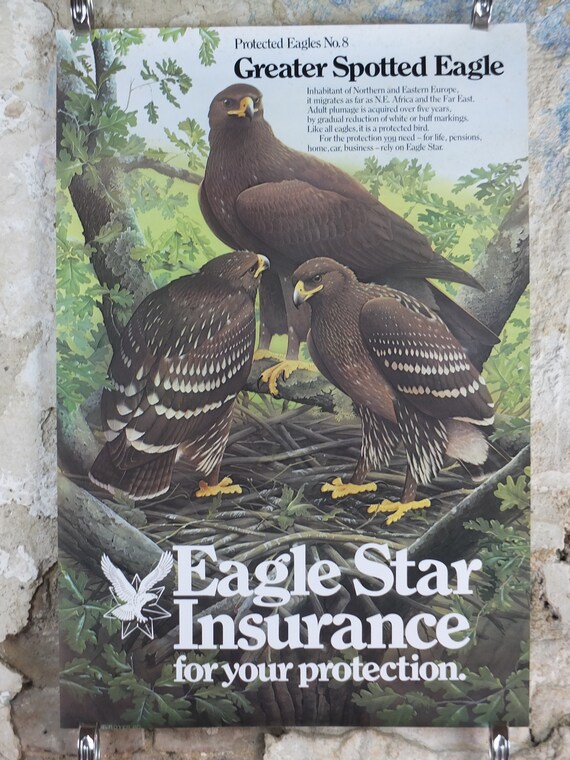 1980 Greater Spotted Eagle Poster, Eagle Star Insurance, by Trevor