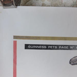 1961 Guinness kattaffisch, Ett symposium om katter, Guinness husdjurssida, av Gerard Hoffnung, reklam för irländsk stoutöl, väggdekor bild 7