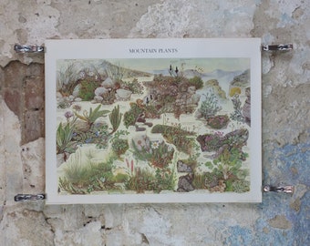1976 British Museum Poster, Mountain Plants by Barbara Nicholson BEM, hills and landscapes, Natural History Museum, wall art decor